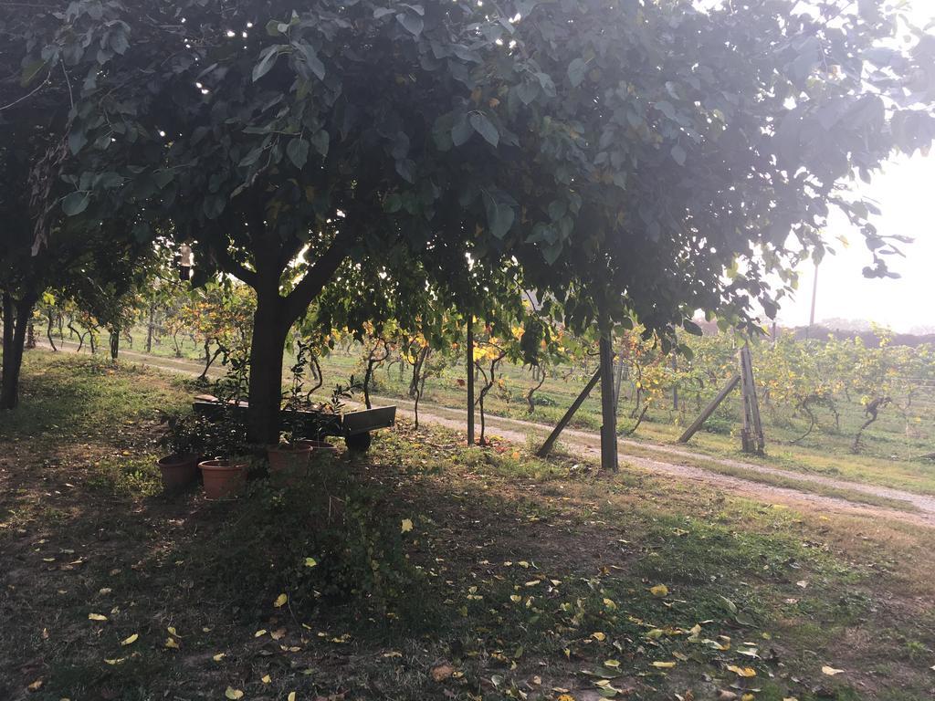 Le Magnolie Agriturismo Verolanuova Екстер'єр фото