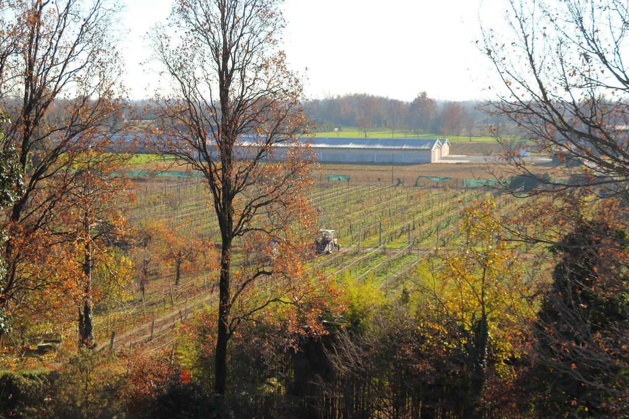 Le Magnolie Agriturismo Verolanuova Екстер'єр фото